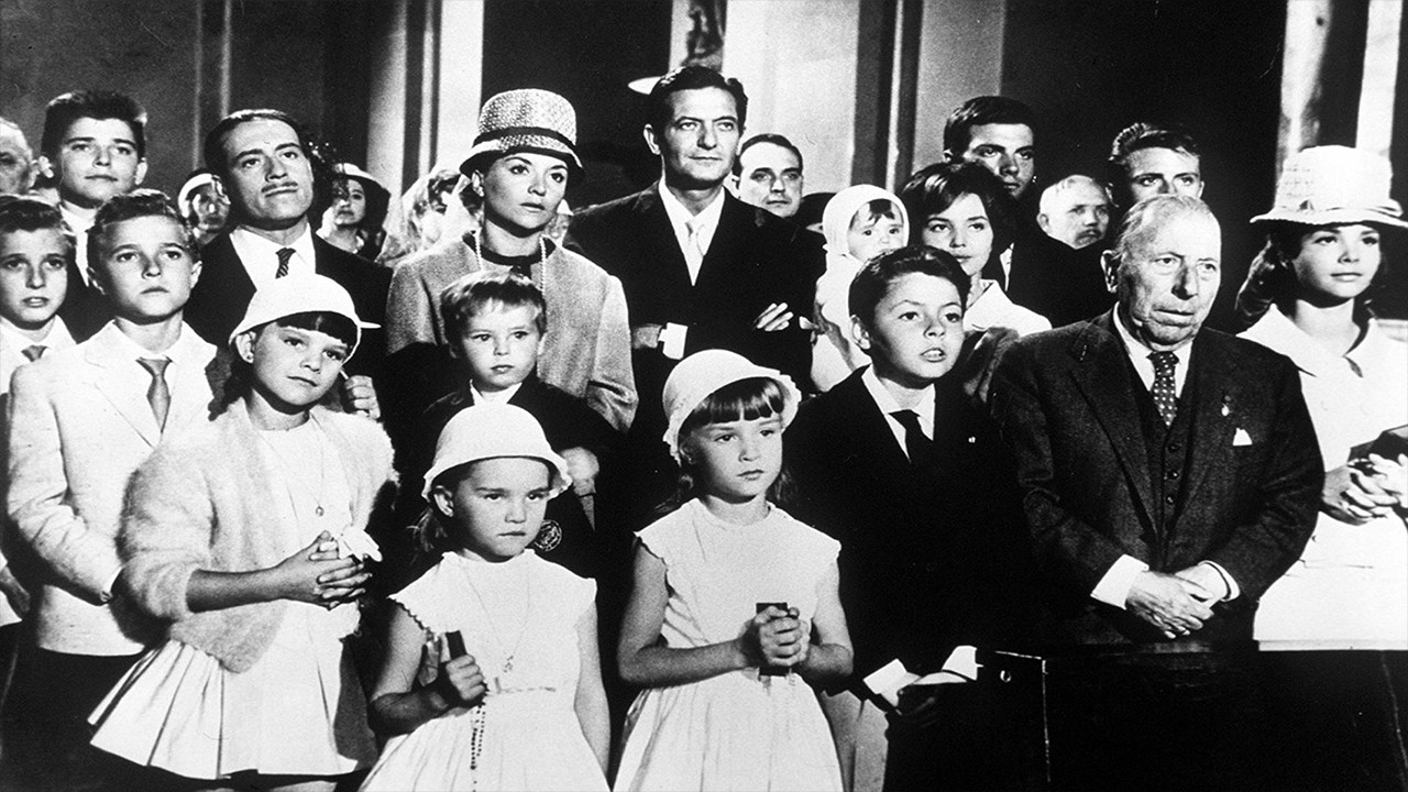 The Big Family Collection background